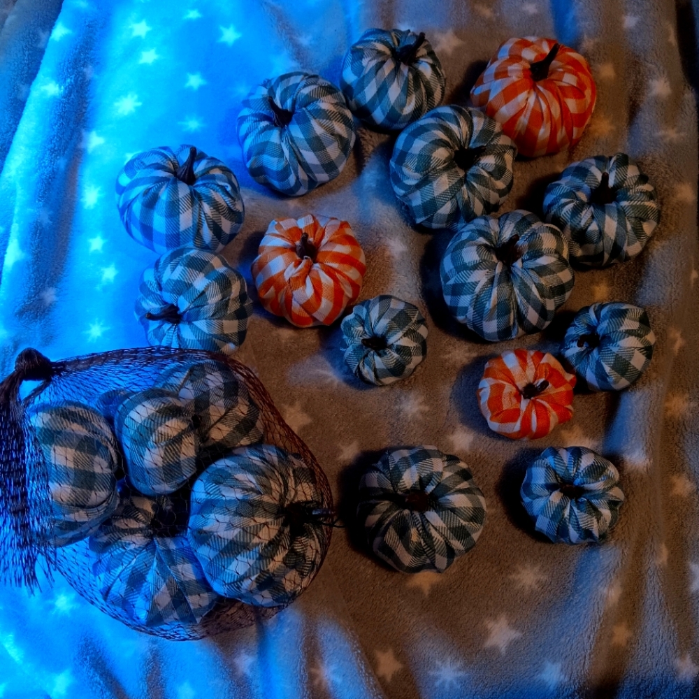 20 mini pumpkins